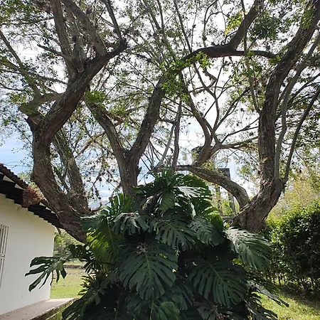 Finca Bellavista Ginebra Exterior photo
