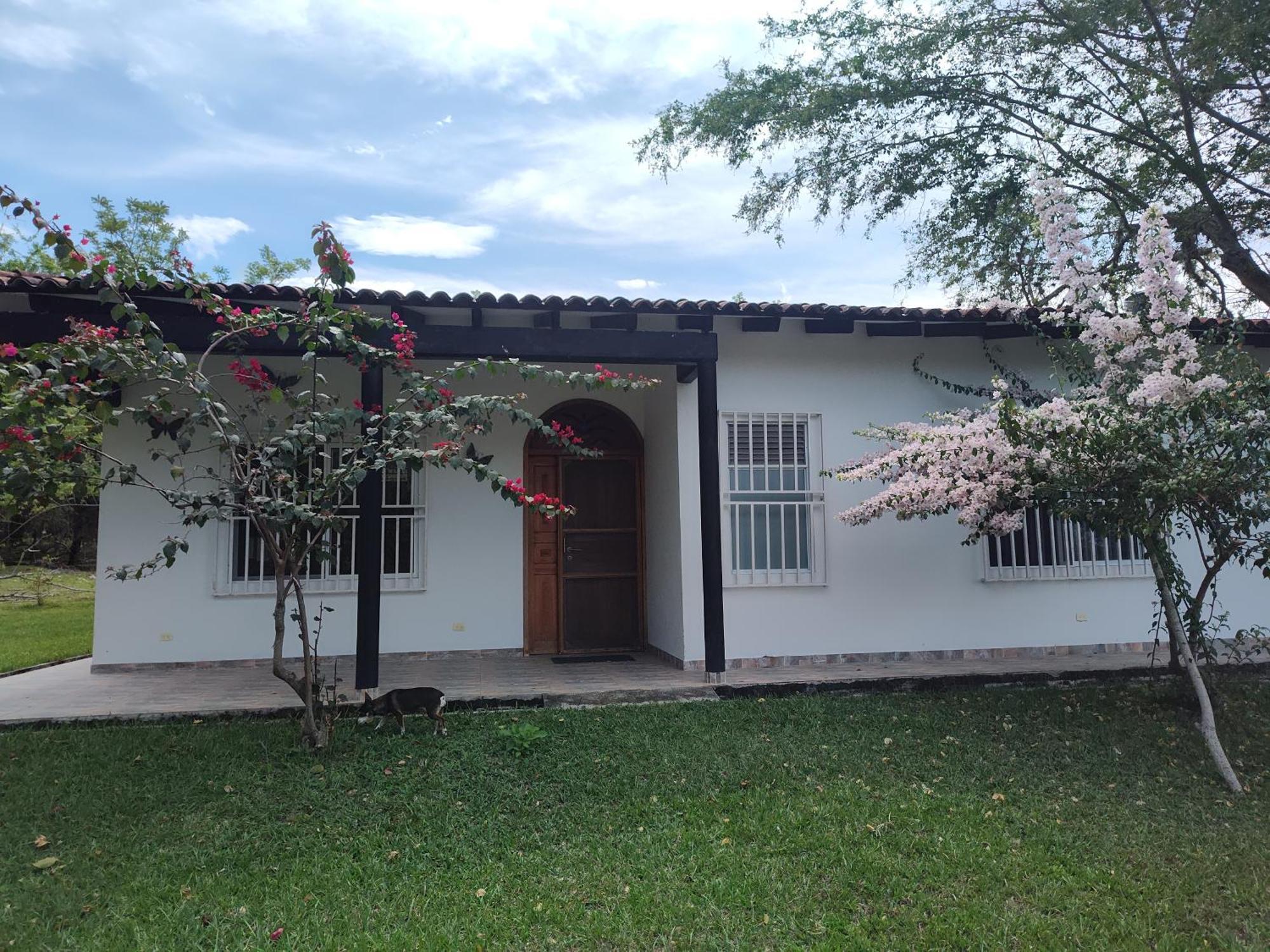 Bellavista