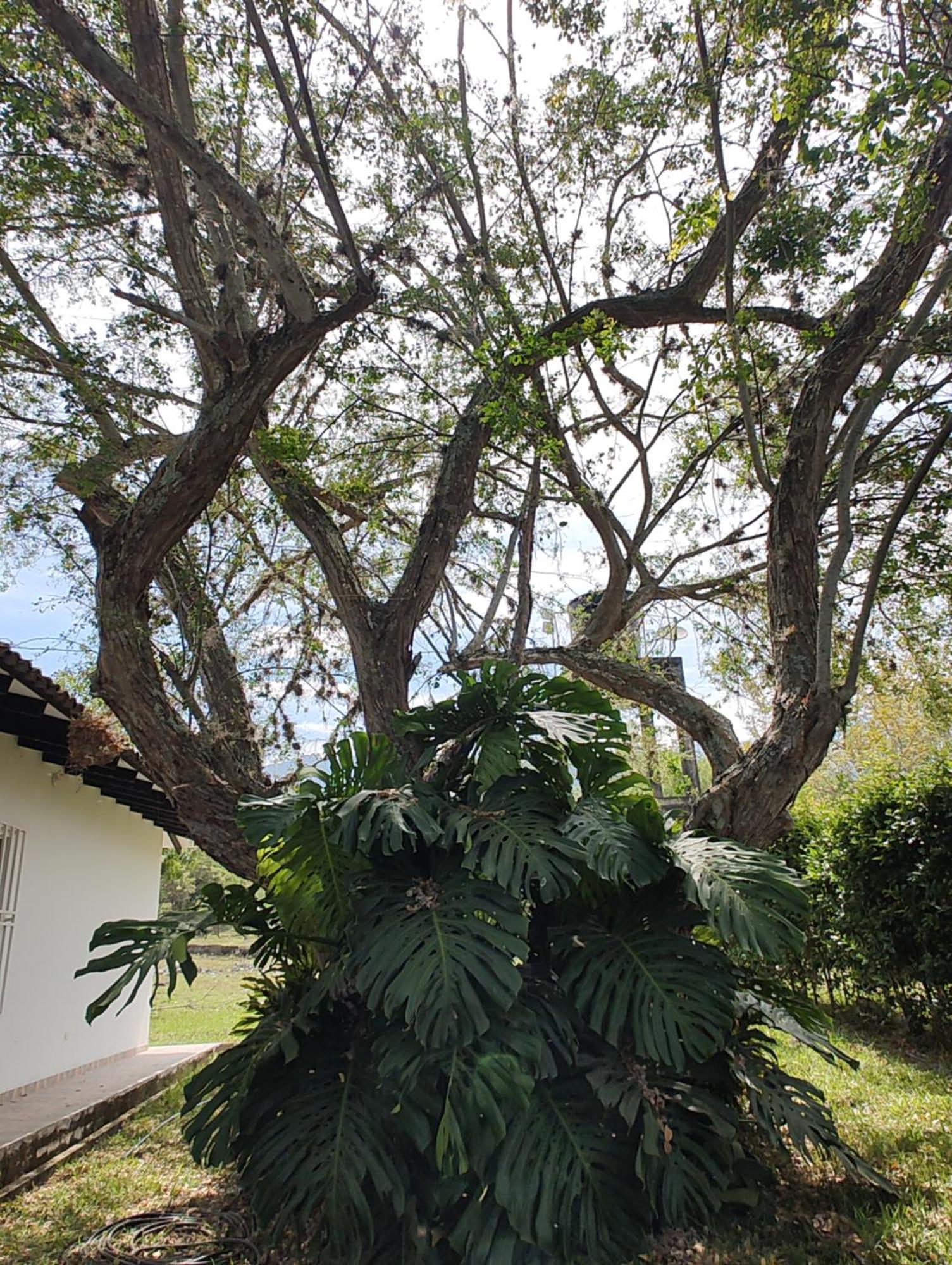Bellavista Country house *